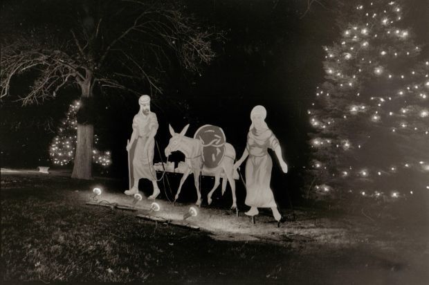 Davenport Memorial Park Christmas Display